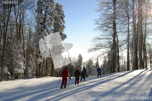 Image of Winter landscape