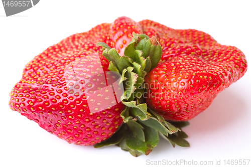 Image of Closeup Fresh Red Strawberry