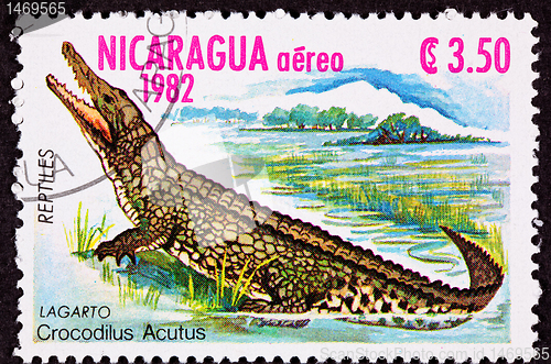 Image of Canceled Nicaraguan Postage Stamp Standing American Crocodile Cr