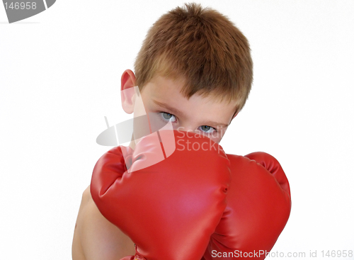 Image of boxing boy