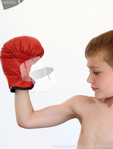 Image of boy boxer making a muscle