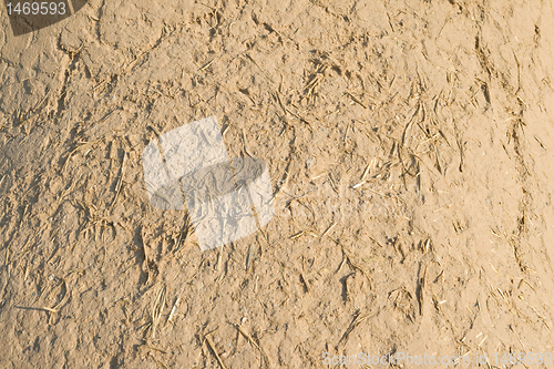 Image of Full Frame Adobe Mud Wall, Rough Straw Texture