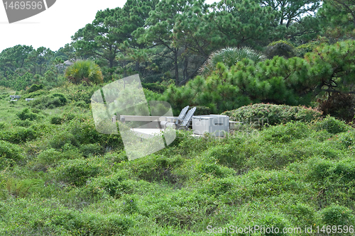 Image of Chairs Deck  Dune Grass Shrubs Beach Barrier Hilton Head Island