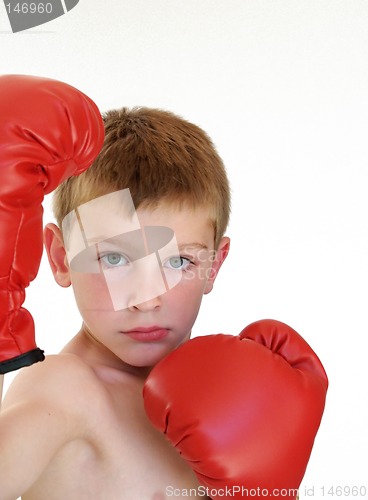 Image of boy ready to box