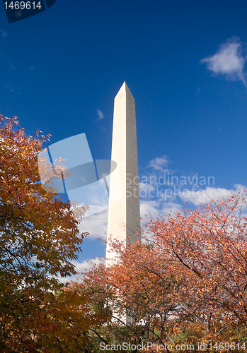 Image of Washington Monument Autumn Framed Leaves Blue Sky