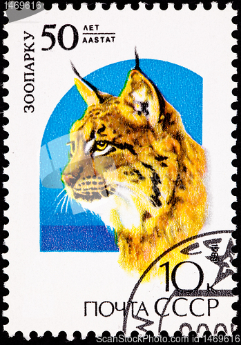 Image of Canceled Soviet Russia Postage Stamp Big Cat Eurasian Lynx Lynx