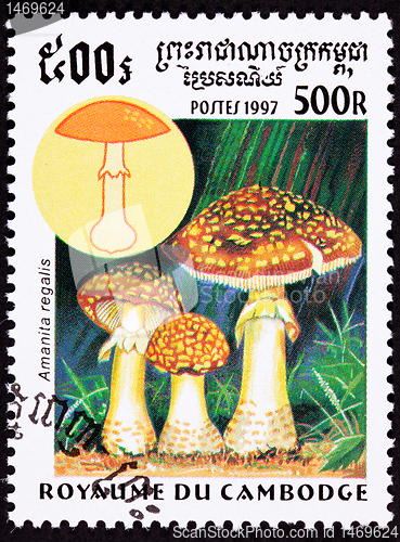 Image of Canceled Cambodian Postage Stamp Fly Agaric mushroom, Amanita Mu