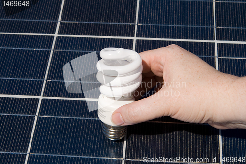 Image of Hand Compact Fluorescent Light Bulbs Solar Panel