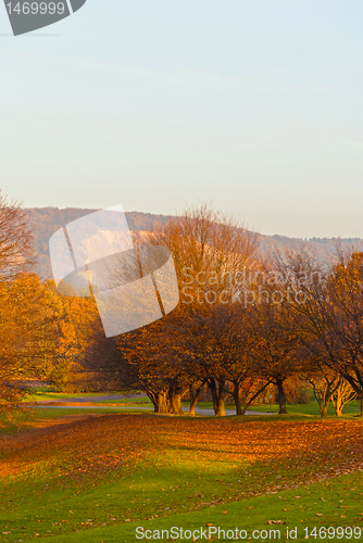 Image of Rheinaue Park 