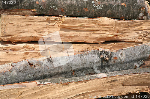 Image of log