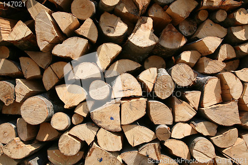 Image of log