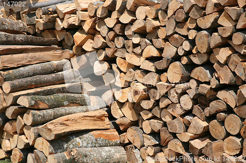 Image of log