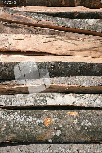 Image of log