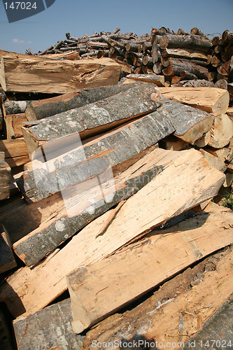 Image of log