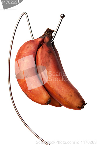 Image of Ripe Red Bananas Bunch