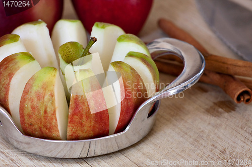 Image of Apple Slicer Tool