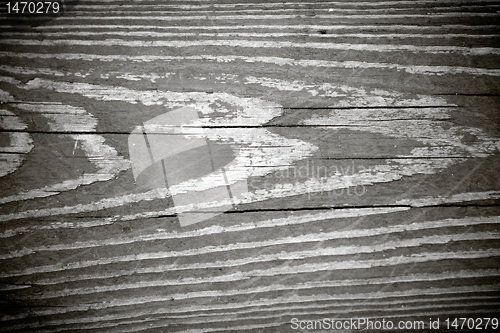 Image of Black and White Woodgrain Texture