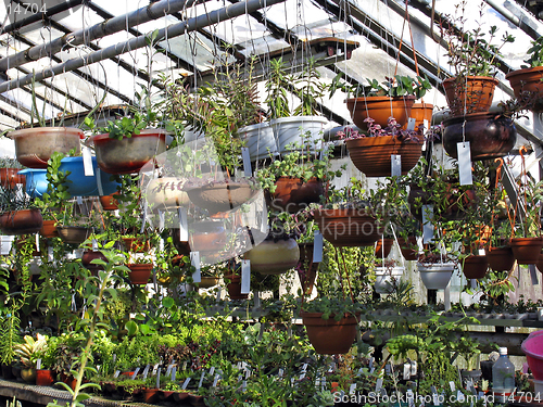 Image of Greenhouse