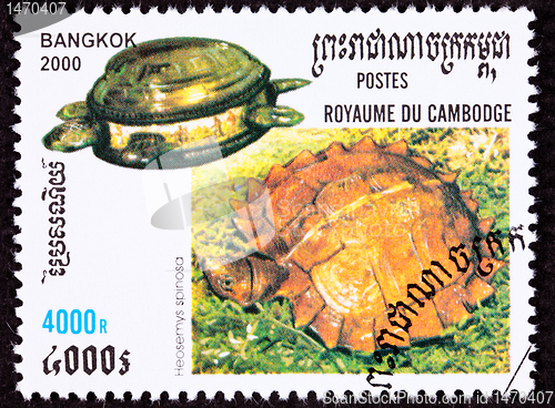 Image of Canceled Cambodian Postage Stamp Spiny Turtle, Heosemys spinosa,