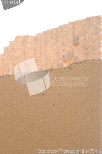 Image of Torn Corrugated Cardboard Row Isolated Background