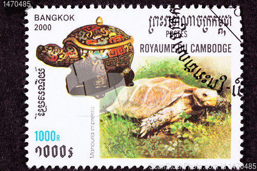 Image of Canceled Cambodian Postage Stamp Impressed Tortoise, Manouria im