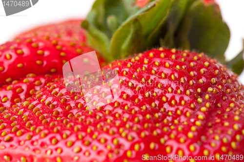 Image of Macro Closeup Full Frame Fresh Red Strawberry