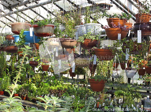 Image of Greenhouse