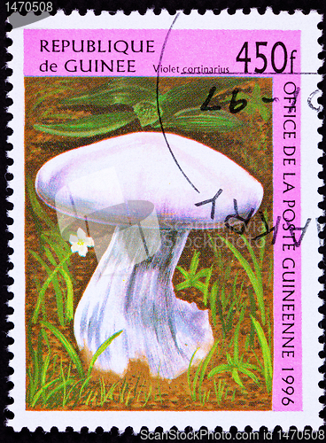 Image of Canceled Guinea Postage Stamp Fungus Violet Webcap Mushroom Cort