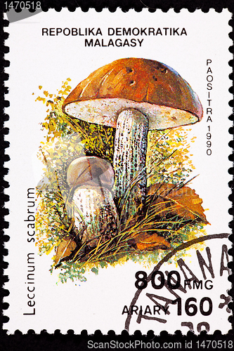 Image of Canceled Madagascar Postage Stamp Clump Birch Bolete Mushroom Le