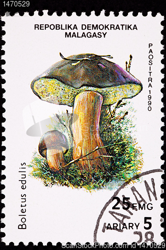 Image of Canceled Madagascar Postage Stamp Porcini Mushroom, Boletus Edul