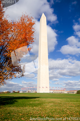 Image of Washington Monument Autumn Framed Leaves Blue Sky