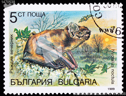 Image of Canceled Bulgarian Postage Stamp Common Noctule Bat Nyctalus Noc