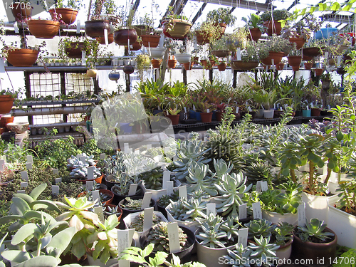 Image of Greenhouse