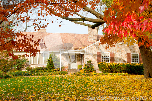 Image of House Philadelphia Yellow Fall Autumn Leaves Tree