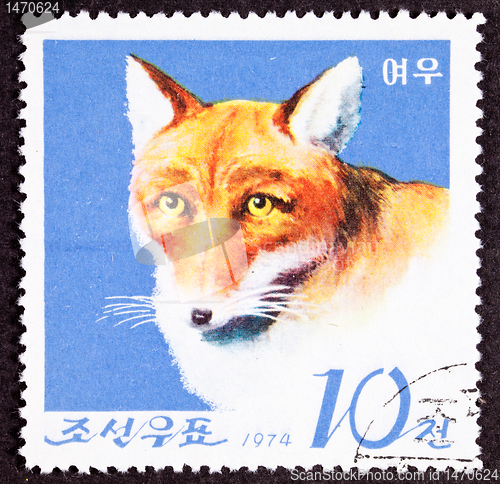 Image of Canceled North Korean Postage Stamp Fox Canidae Head Shoulders I