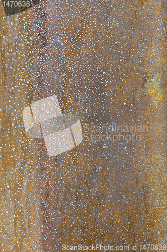 Image of XXXL Full Frame Corroded Brushed Brass Metal Pole Paint Flecks