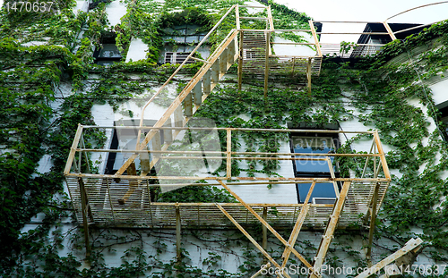 Image of Fire Escape on Old Building Covered with Ivy