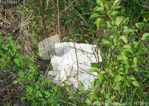 Image of Chunk of Styrofoam in Brush and Weeds Littering Pollution Theme