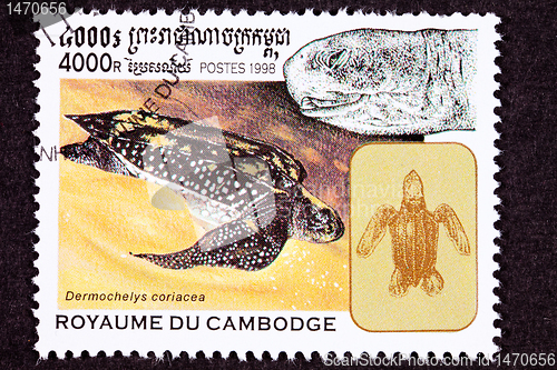 Image of Canceled Cambodian Postage Stamp Swimming Leatherback Sea Turtle