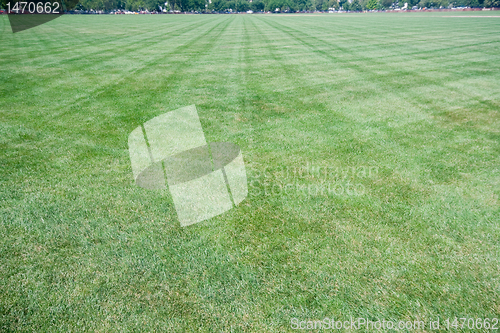 Image of Wide Angle Lawn With Criss-Cross Mowing Marks