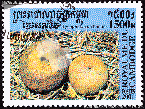 Image of Canceled Cambodian Postage Stamp Round Umber-Brown Puffball Mush