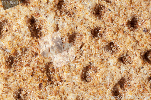 Image of Full Frame Bottom Rough Cracker, Extreme Closeup Macro