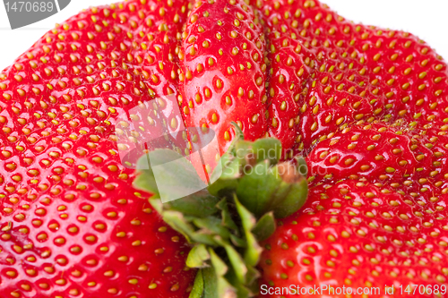 Image of Macro Closeup Full Frame Fresh Red Strawberry
