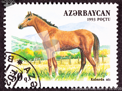 Image of Canceled Azerbaijan Postage Stamp Brown, Kabarda Breed Horse Sta