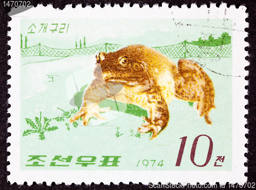 Image of Canceled Korean Postage Stamp Fenced In North American Bull Frog