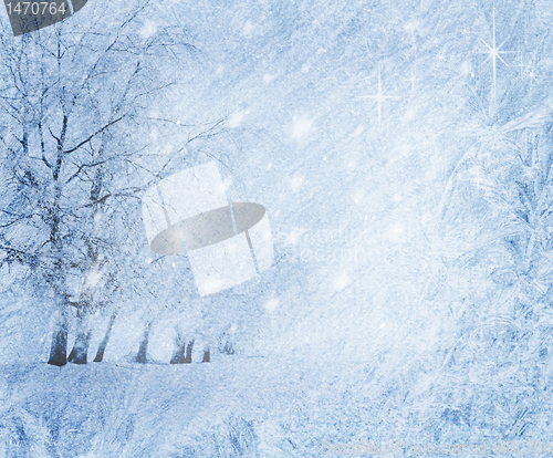 Image of Winter Background