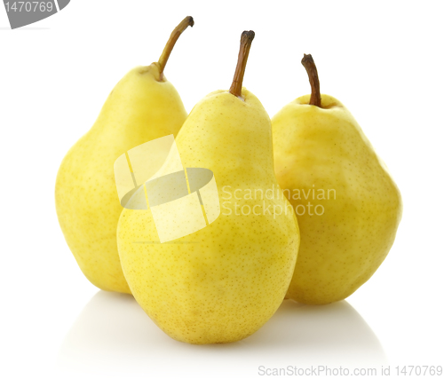 Image of Yellow Pears 