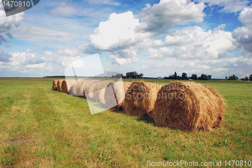 Image of Straw bales 