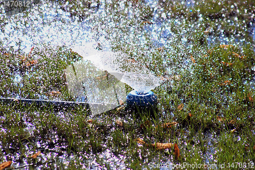 Image of Artificial rain drops 