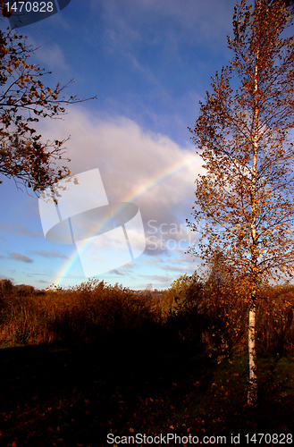 Image of Autumn rainbow 